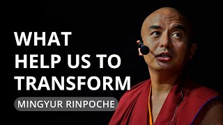 What Helps Us to Transform  teaching by Mingyur Rinpoche