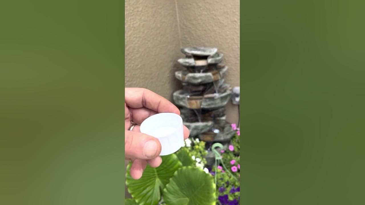 So what to do about your moldy water fountain? YouTube