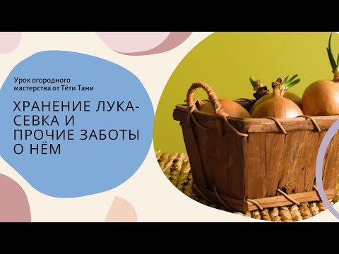 Как хранить лук шалот в домашних условиях