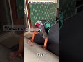 “Walour Carpet Makeover | Transform Your Space with HSK Home Decor!”