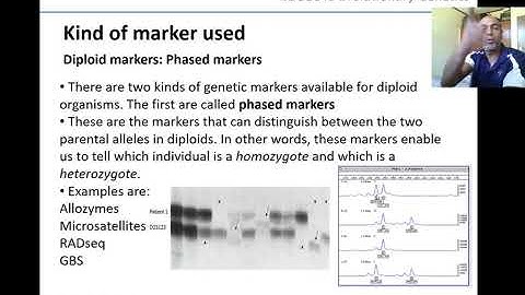 Professor Yoshan Moodley | ZOO3649 Evolutionary Genetics | Lecture 5: Measuring Genetic Variation