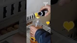 The rate of survival of bee colonies during winter is directly proportionate with the grade of