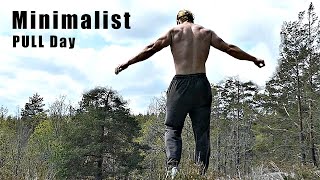 Minimalist Workout: The Best With Less - PULL Day - Calisthenics Training