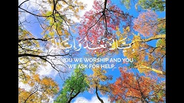 سورة الفاتحة ماهر المعيقلي #اكسبلور #راحة_نفسية #قرآن #قرآن_كريم #لايك