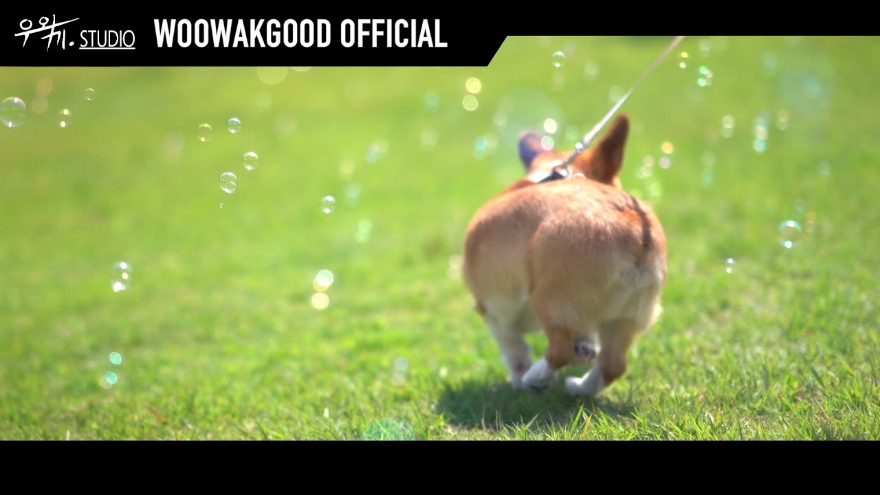 YouTubeで우왁끼 스튜디오(Wak Studio) - Memoriesを視聴