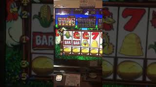 Bonus Fowl Play Story Slot Machine