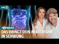 Darmbiom aufbauen - wichtig für Körper und Seele I Frag dich fit Gesundheitspodcast I ARD Gesund Mp3 Song