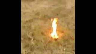 Happy Home Vibes Transforming Your Space Into A Sanctuary