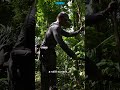 A careless mistake leaves him bleeding in the jungle #shorts #survival #outdoors