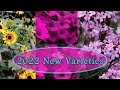 Proven Winners 2022 New Varieties Sneak Peek