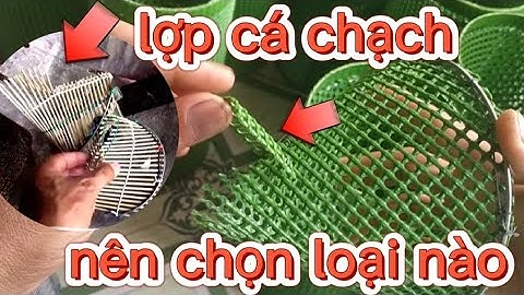 lợp cá chạch ,nên chọn loại nào( hết hàng)