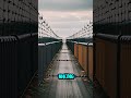 Berlin Wall Secrets Unveiled: Shocking Discoveries! 🧱🔍 #BerlinWall #HistoryShorts #discoverthepast