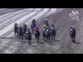 View race 2 video for 2019-07-17