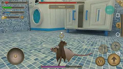 Qual é o nome do jogo do rato?