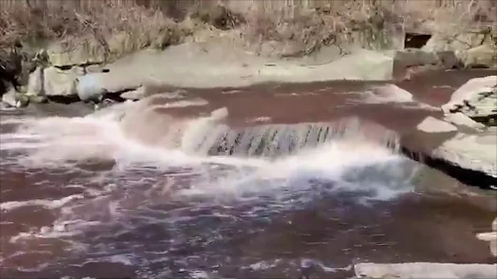 Toronto River Turns Blood Red on March 25, 2020 - DayDayNews