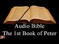 The First Book of Peter  - NIV Audio Holy Bible - High Quality and Best Speed - Book 60