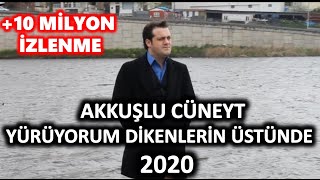 AKKUŞLU CÜNEYT & YÜRÜYORUM DİKENLERİN ÜSTÜNDE 2020 Resimi