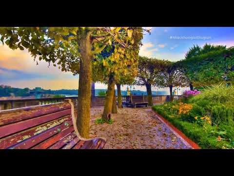 Video Nhu Da DaU Yeu - youtube