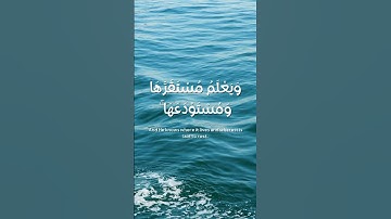 Surah Hud | سورة هود