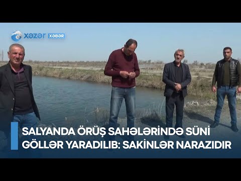 Video: Sahədə süni göl: layihə, tikinti, dizayn