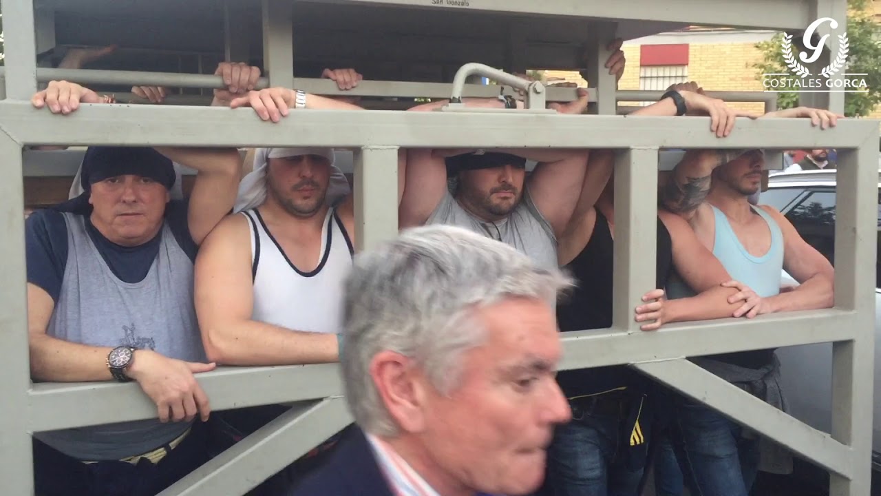 Ensayo de Costaleros del Misterio de San Gonzalo - Costales Gorca