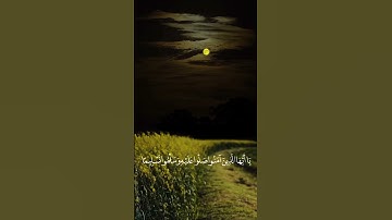 القارئ عمر الدريويز/ان الله وملائكته يصلون على النبي 4K