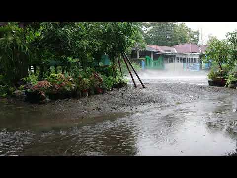 Video: Hujan Lebat • Halaman 2