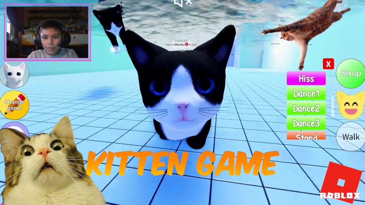 MEOW ROBLOX Kitten Game - YouTube