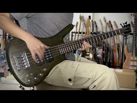 Cover Bass Labanoon (ลาบานูน) Feat. เปาวลี พรพิมล 