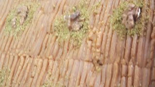 Nevzi̇ne Tatlisi Nasil Yapilirorji̇nal Tari̇fi̇ İle Nevzi̇ne Tatlisi Tari̇fi̇şerbetli̇ Tatlilar