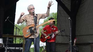 Dylan Festival Warwick NY.... Bill Kirchen warning you about what c...
