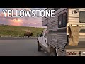 YELLOWSTONE NATIONAL PARK in Our Pop-Up Truck Camper