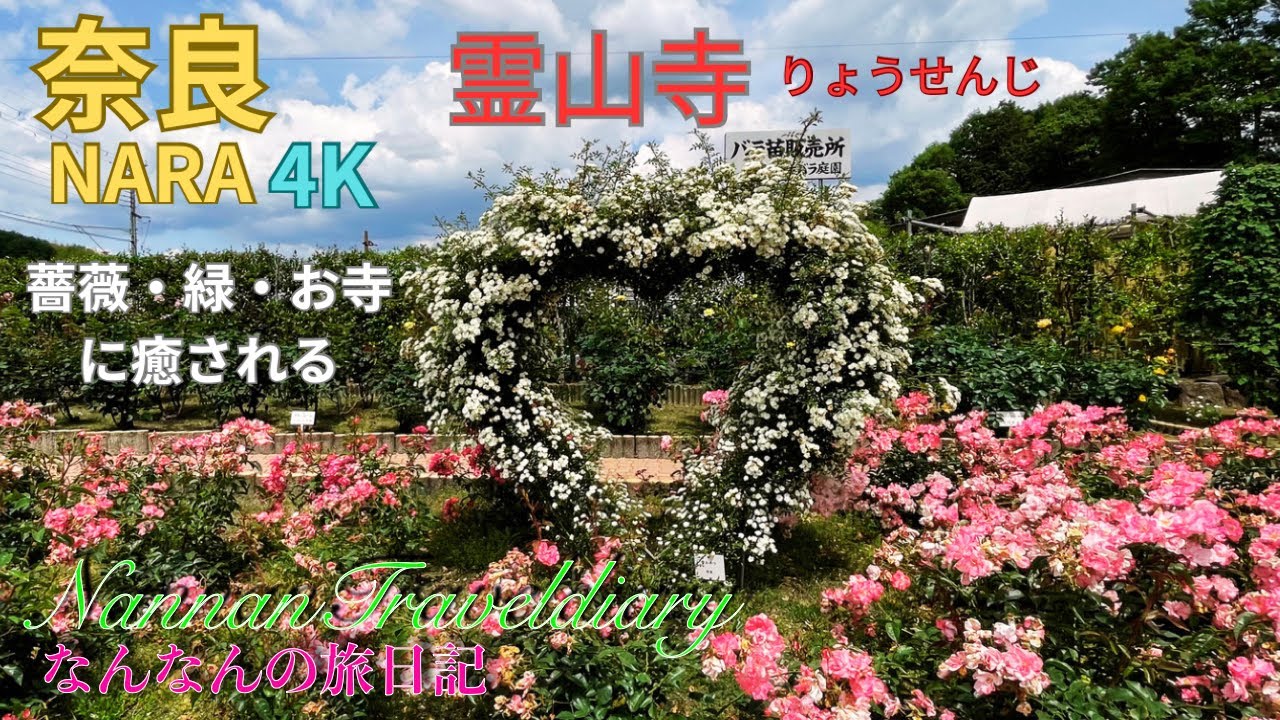 奈良】4K 霊山寺、薔薇・緑・お寺に癒される - YouTube