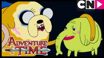 Adventure Time | Tree Trunks Saves The Day! | Cartoon Network