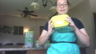 FridgeSmart Demo 2