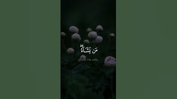 ومـا يستوي الأحياء ولا الأموات - #صلاح_بو_خاطر  - #سورة_فاطر #حالة_واتس