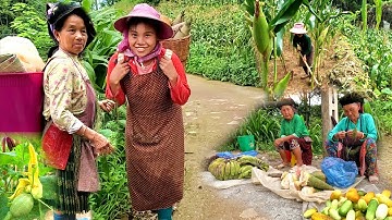 TRAVELS HMONG LIFE IN NORTHERN VIETNAM 8/2025