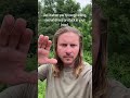 432Hz + 528Hz + 963Hz | Nervous System Reset &amp; Calm Mind &mdash; Browski Resonance Method