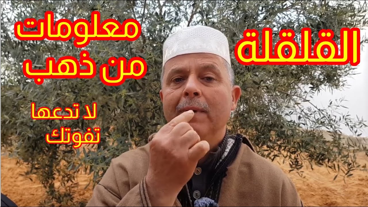 تعرف أكثر على القلقلة - معلومات من ذهب لا تدعها تفوتك