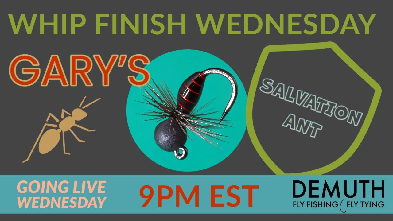 How To Fly Tying: Salvation Ant--Live on Whip Finish Wednesday