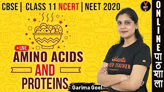 Amino Acids and Proteins | Biomolecules | Class 11 Biology Chapter 9 | NEET 2020 | NEET Biology