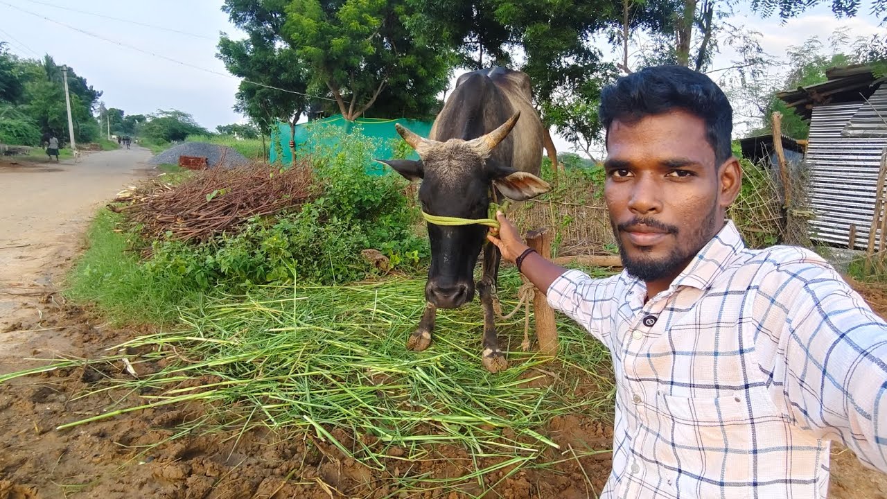 இன்னைக்கு நாம தான் பாத்துக்கணும்|lifestyle Vlog|Idhu Namma Route 