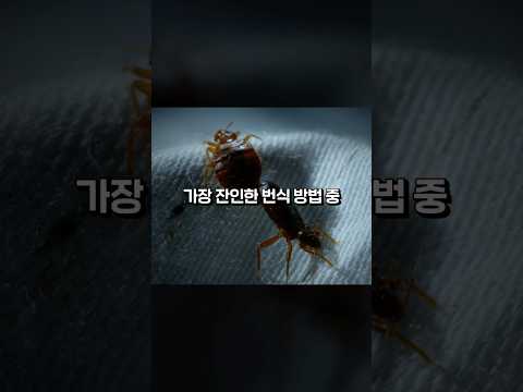 소름돋는 벼룩의 <strong>짝짓기</strong> 방식