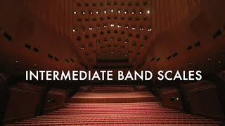 Intermediate Band Scales