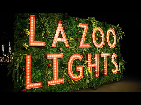 Vidéo: LA Zoo Lightxs à Griffith Park : le guide complet