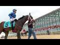 Oaklawn 2018 Stakes Recap Week 3 American Beauty