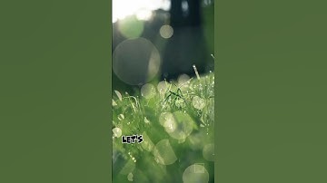 Reading is a super power