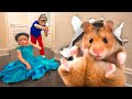 Five Kids Oh No! Got Hamster Lost | Safety Tips for Kids + more Children's Songs and Videos