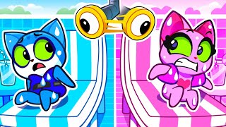 Rosa vs Azul | Habitación Secreta Bajo la Piscina | Caricatura | Purr Purr