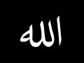 مجالس ذكر تجلى وجه محبوبي وهذا كل مطلوبي